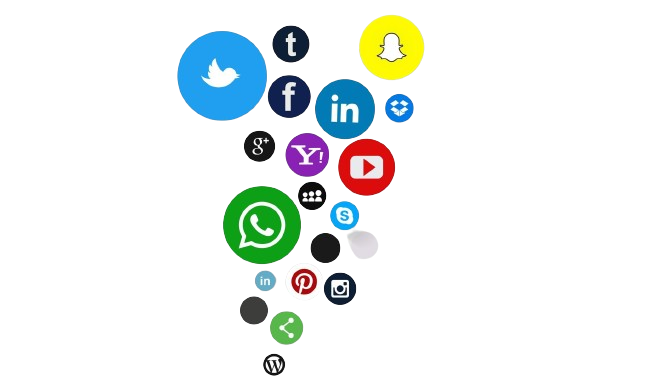 Social Leader Social Reach